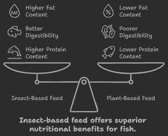 Nutritional Benefits of Fish Feed Made from Insects