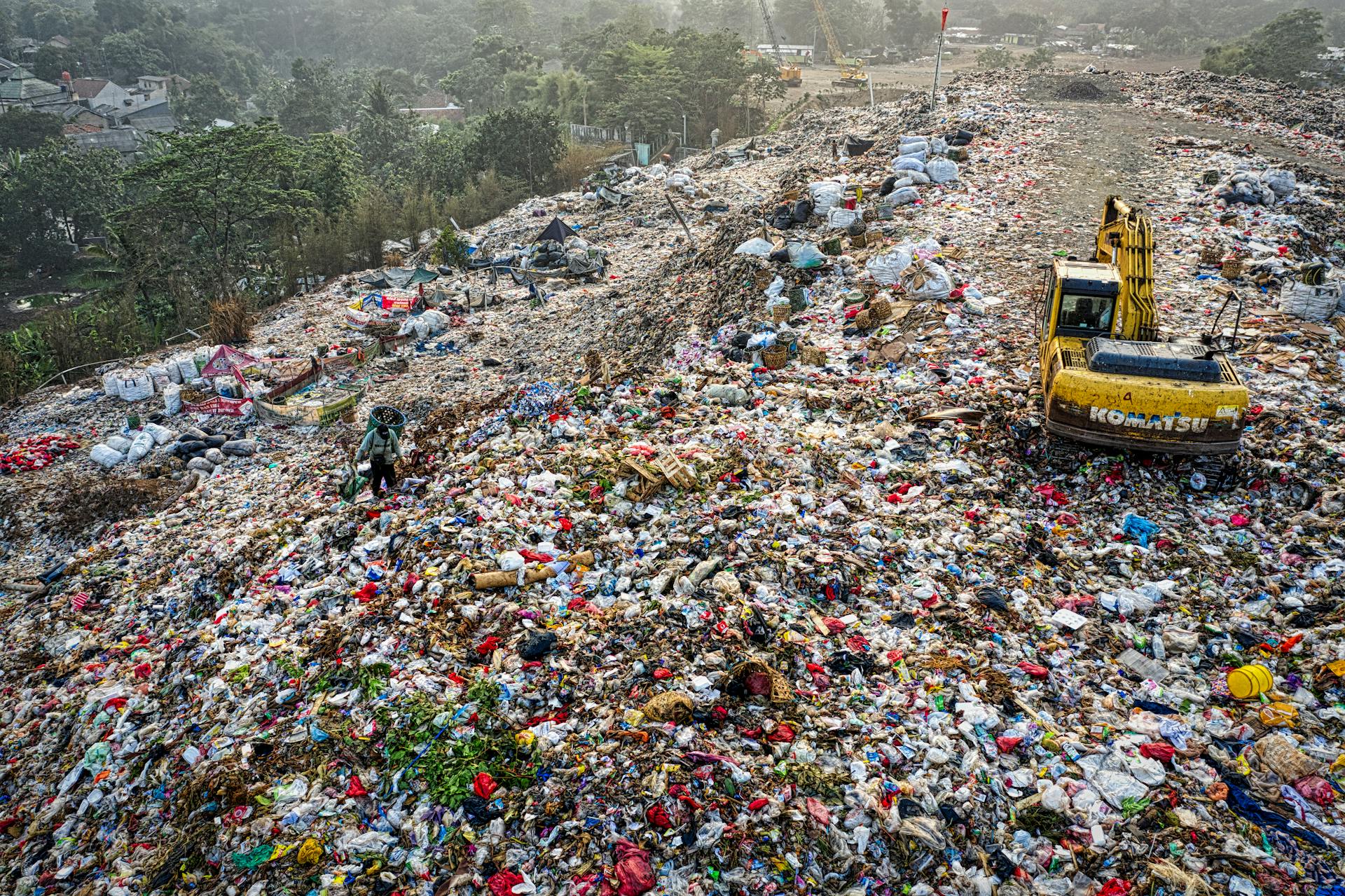 waste-management-how-black-soldier-fly-larvae-are-transforming-the-industry